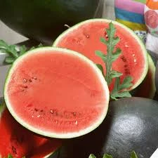 WATERMELON SUGAR BABY