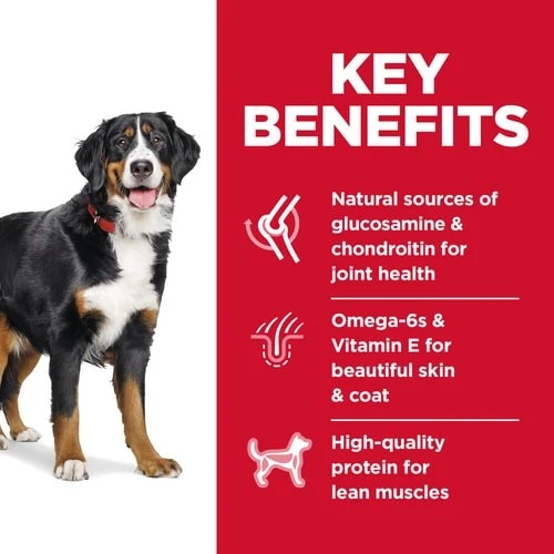 Adult 1-5 Large Breed Chicken & Barley Recipe Dry Dog Food 35 lb