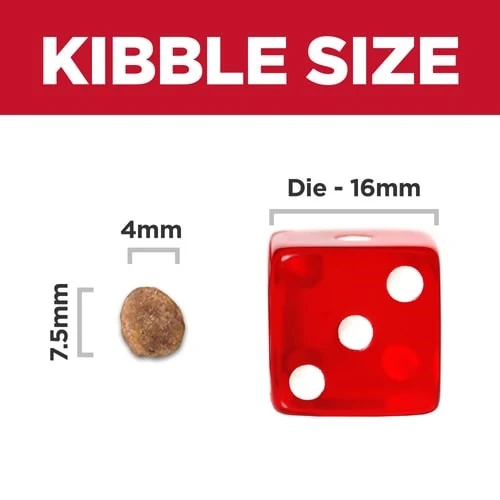 Adult 1-6 Small & Mini Chicken Meal & Rice Recipe Dry Dog Food 4.5 lb