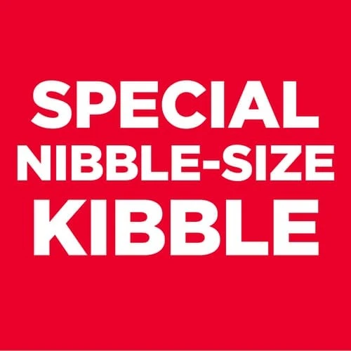 Adult 1-6 Small & Mini Chicken Meal & Rice Recipe Dry Dog Food 4.5 lb