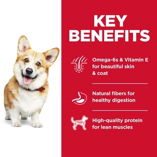 Adult 1-6 Small Bites Chicken & Barley Recipe Dry Dog Food 5 lb