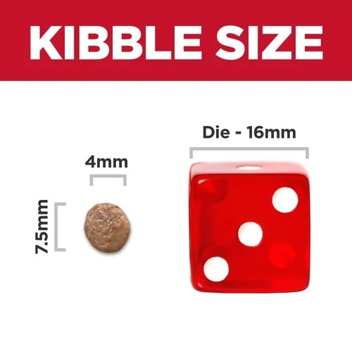 Adult 7+ Small & Mini Chicken & Brown Rice Recipe Dry Dog Food 4.5 lb