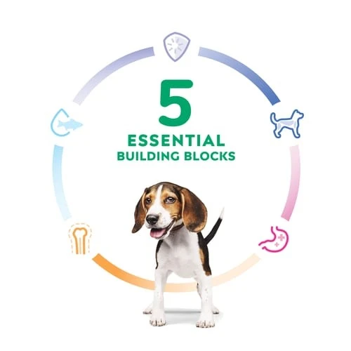 Puppy Chicken & Brown Rice Recipe Dry Dog Food 4.5 lb