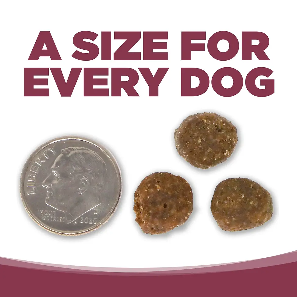 Limited Ingredient Salmon & Potato Entrée Dry Dog Food 4 lb