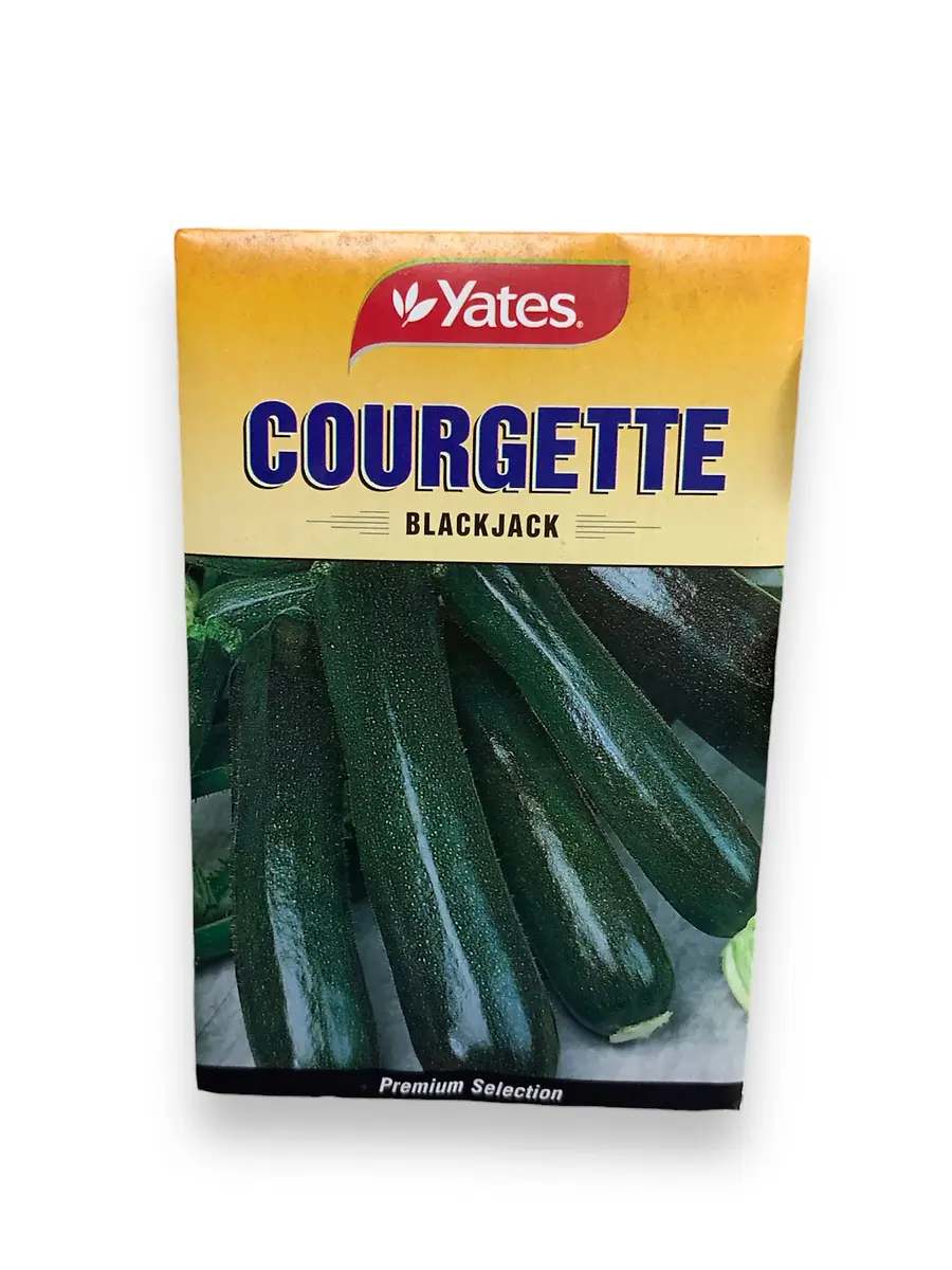 ZUCCHINI BLACK JACK SEEDS