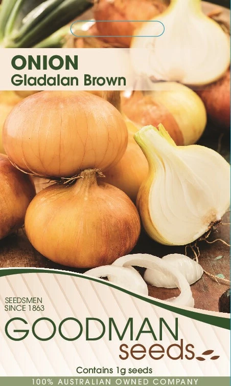 ONION GLADAIAN BROWN