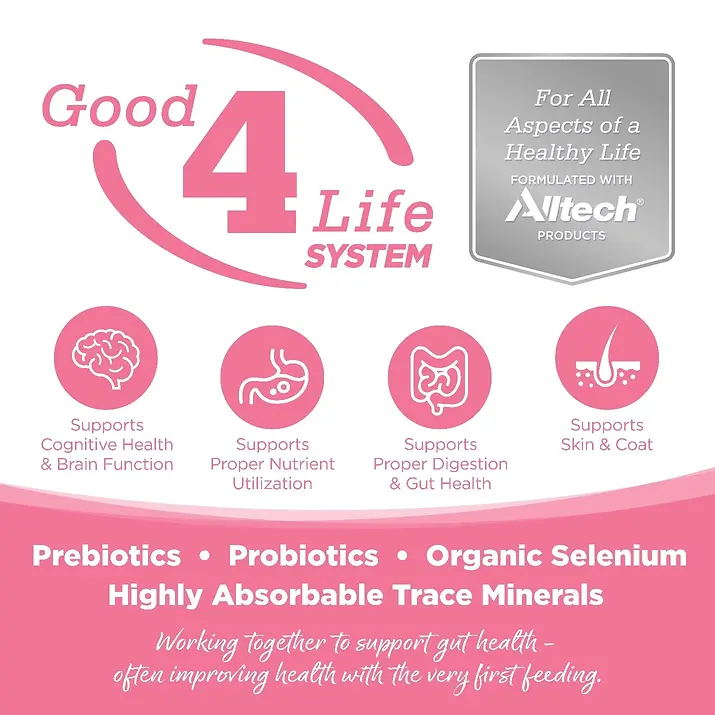 Limited Ingredient Salmon & Peas Entrée Grain-Free Dry Dog Food 25 lb