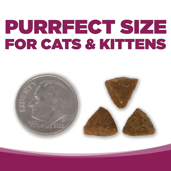 Cat & Kitten Chicken & Rice Recipe with Wholesome Grains Dry Cat Food 4 lb
