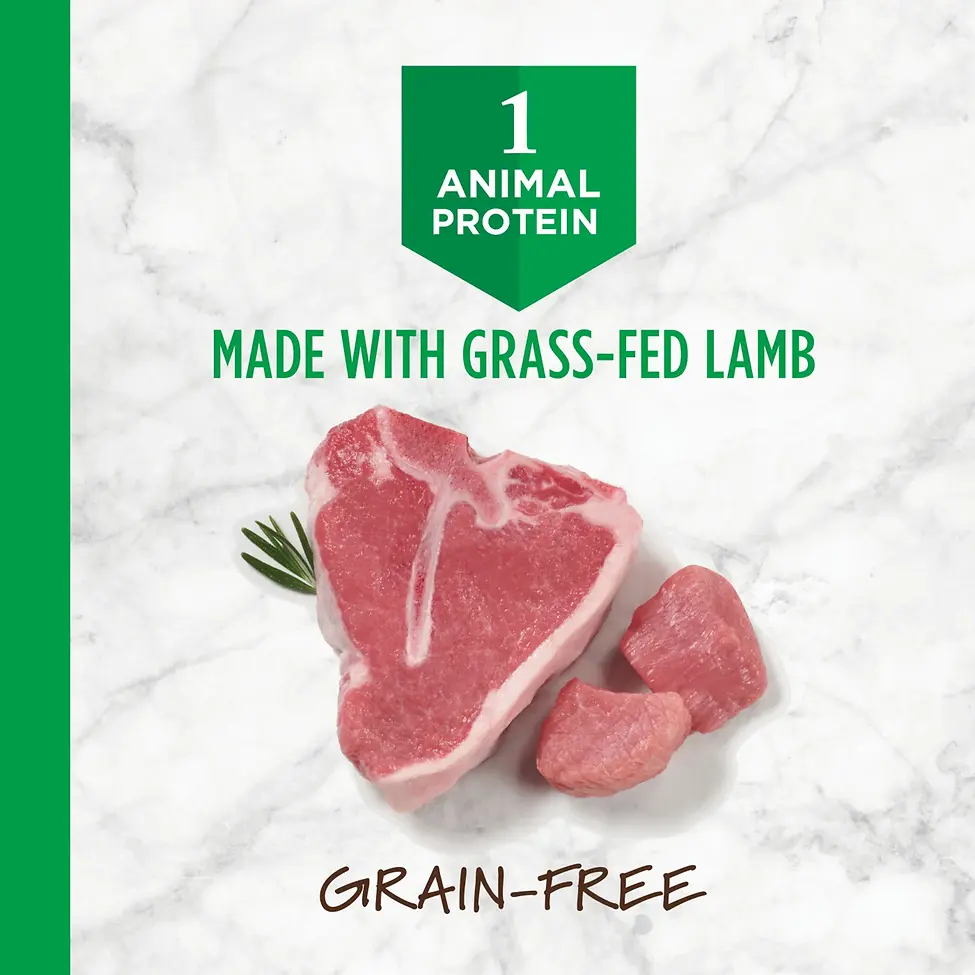 Limited Ingredient Diet Grain-Free Real Lamb Recipe Freeze-Dried Raw Coated Dry Dog Food 20 lb