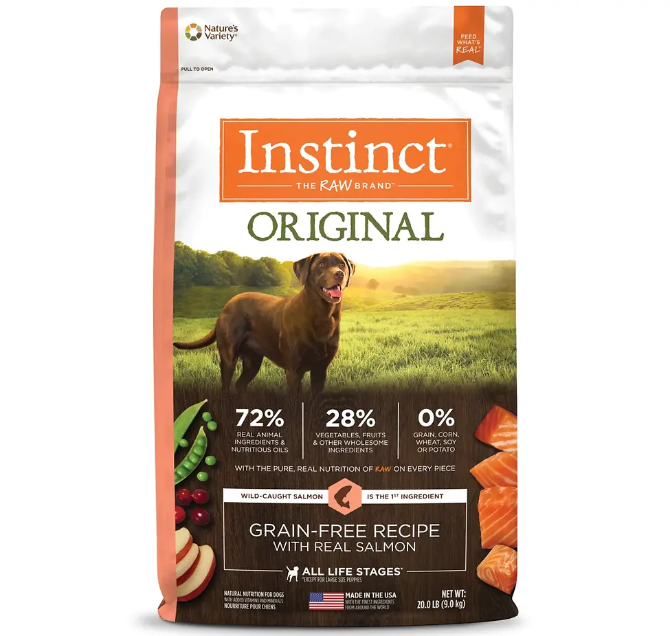 Original Grain-Free Real Salmon Recipe Raw Coated Dry Dog Food 20 lb