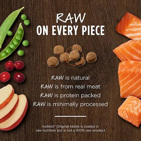 Original Grain-Free Real Salmon Recipe Raw Coated Dry Dog Food 20 lb
