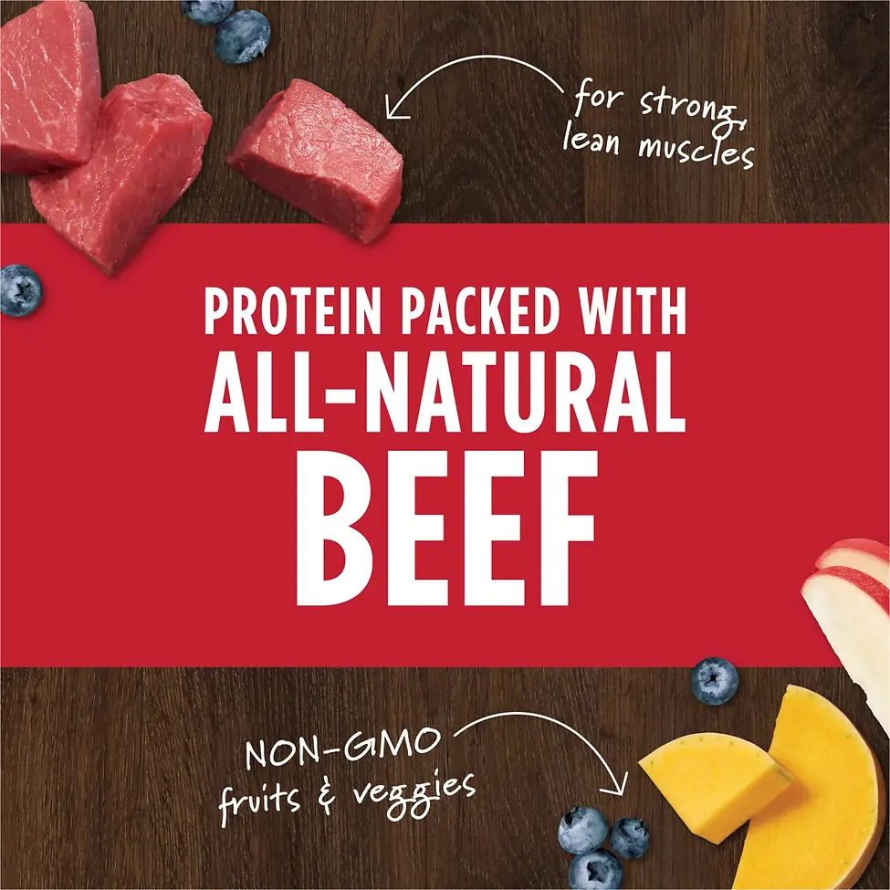 Raw Boost Mixers Beef Recipe Freeze-Dried Dog Food Topper 6 oz