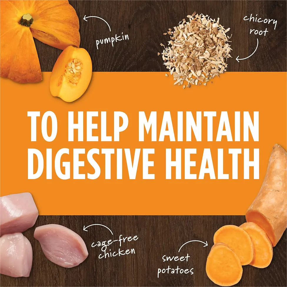 Raw Boost Mixers Gut Health Freeze-Dried Dog Food Topper 5.5 oz