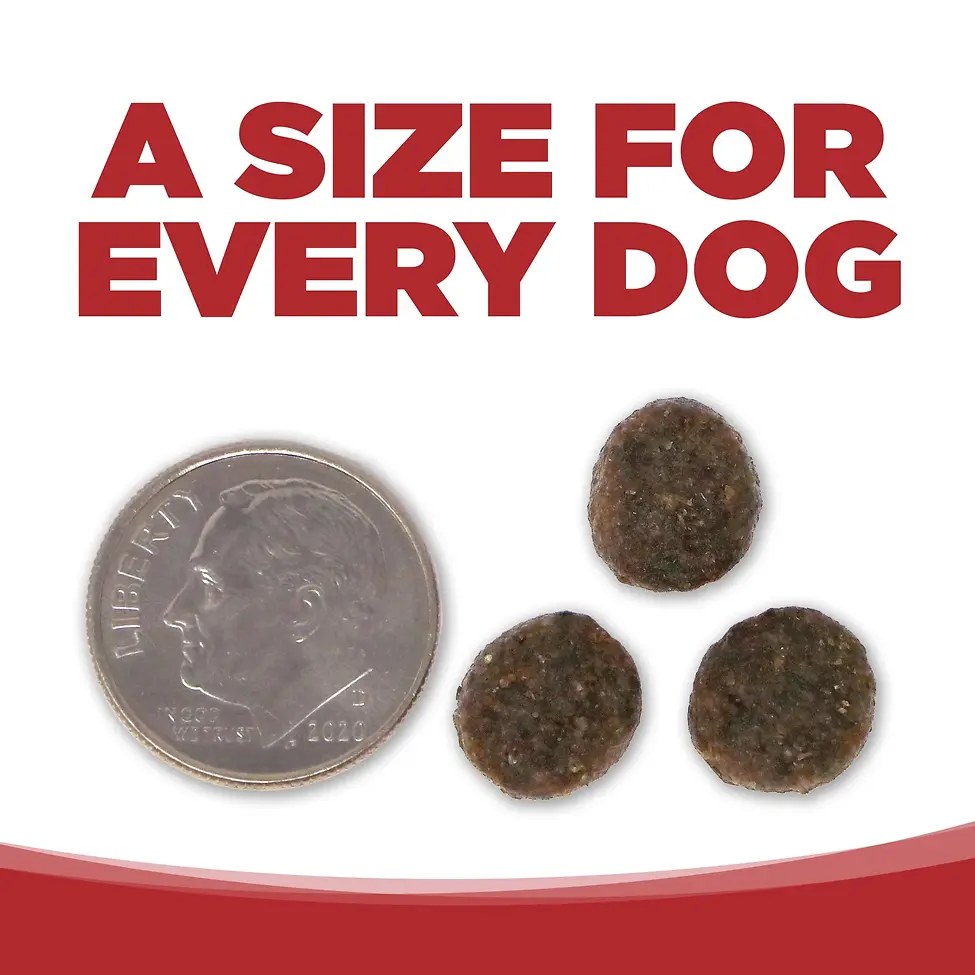 Limited Ingredient Beef & Red Lentils Entrée Grain-Free Dry Dog Food 25 lb