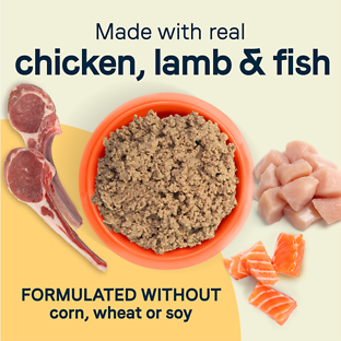 All Life Stages Less Active Chicken, Lamb & Fish Canned Dog Food 13.2 oz