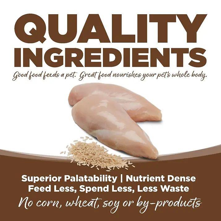 Limited Ingredient Chicken & Brown Rice Entrée with Wholesome Grains Dry Dog Food 25 lb