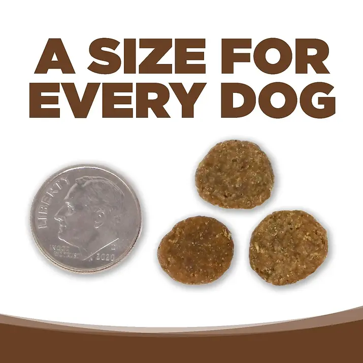 Limited Ingredient Chicken & Brown Rice Entrée with Wholesome Grains Dry Dog Food 25 lb