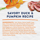Platefulls Savory Duck & Pumpkin Recipe Wet Dog Food Pouch 9 oz