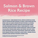 Limited Ingredient Puppy Salmon & Brown Rice Recipe with Wholesome Grain Dry Dog Food 4 lb