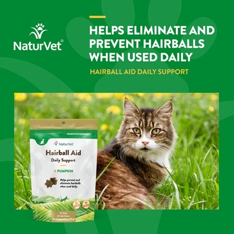 Hairball Aid Daily Support + Pumpkin Cat Supplement 50 Soft Chews
