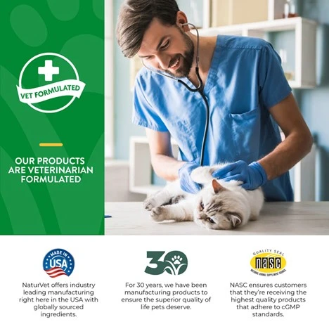 Hairball Aid Daily Support + Pumpkin Cat Supplement 50 Soft Chews