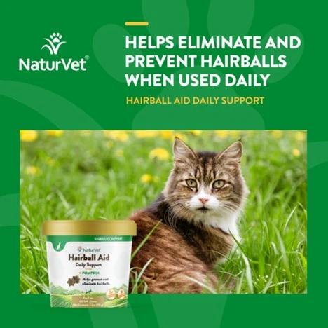 Hairball Aid Daily Support + Pumpkin Cat Supplement 60 Soft Chews