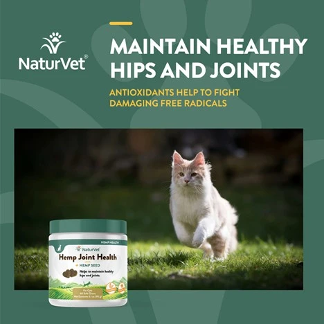 Hemp Joint Health + Hemp Seed for Cats 60 Soft Chews