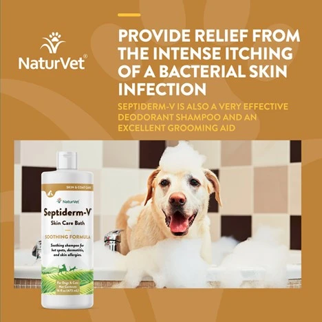 Septiderm-V Skin Care Bath Soothing Formula for Dogs & Cats 16 oz