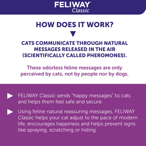 Classic Cat Calming Spray 60 ml