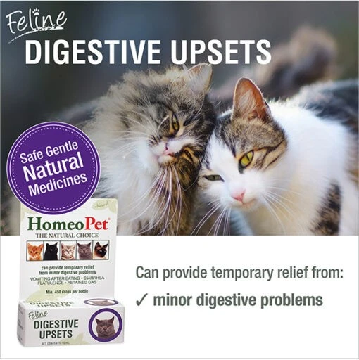 Feline Digestive Upsets Natural Homeopathic Remedy for Cats 15 ml