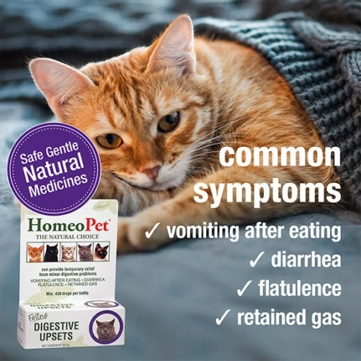 Feline Digestive Upsets Natural Homeopathic Remedy for Cats 15 ml