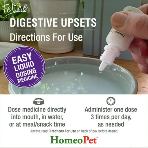 Feline Digestive Upsets Natural Homeopathic Remedy for Cats 15 ml