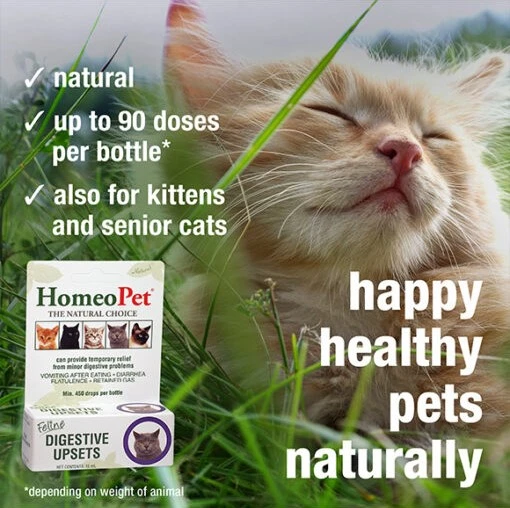 Feline Digestive Upsets Natural Homeopathic Remedy for Cats 15 ml