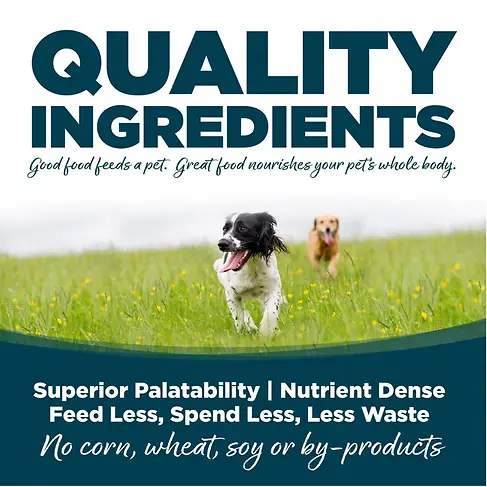 Small Bites Chicken & Rice Recipe with Wholesome Grains Dry Dog Food 12 lb