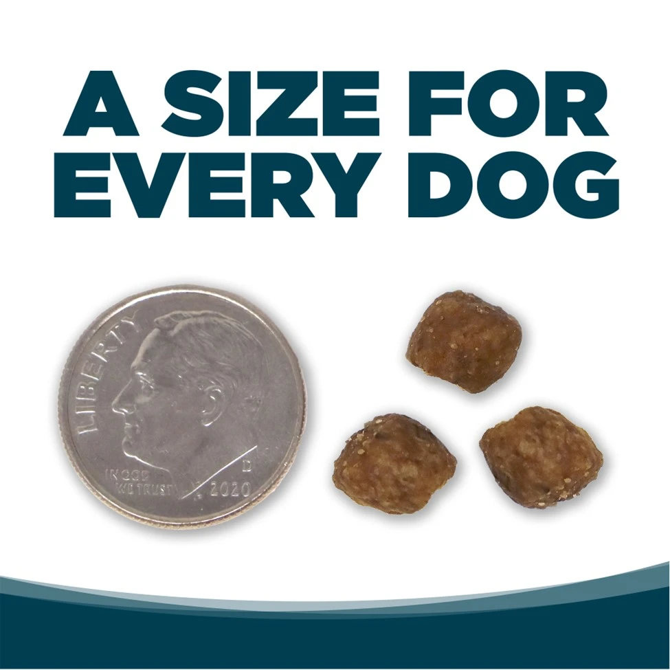 Small Bites Chicken & Rice Recipe with Wholesome Grains Dry Dog Food 12 lb