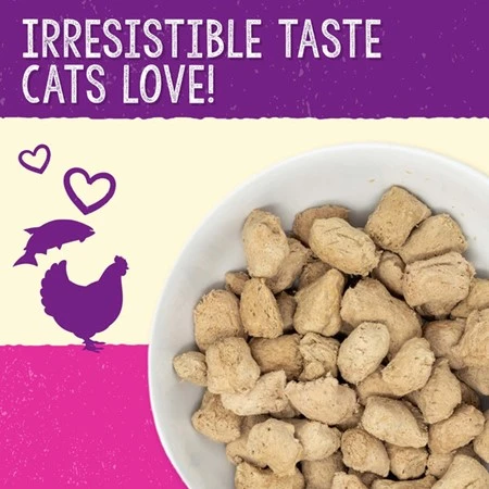 Dinner Morsels Yummy Lickin’ Salmon & Chicken Recipe Freeze-Dried Raw Cat Food 8 oz