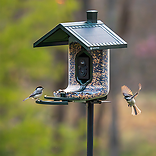 Scout Wi-Fi-Enabled Smart Bird Feeder
