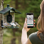 Scout Wi-Fi-Enabled Smart Bird Feeder