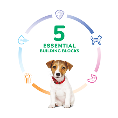 Puppy Small Bites Chicken & Brown Rice Recipe Dry Dog Food 4.5 lb