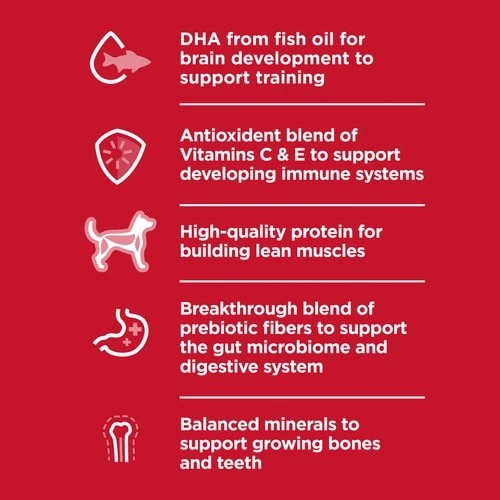 Puppy Small Bites Chicken & Brown Rice Recipe Dry Dog Food 4.5 lb