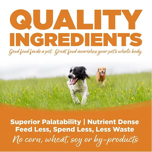 Lamb & Rice Recipe with Wholesome Grains Canned Dog Food 13 oz