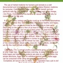 All Natural Respiratory Chicken Supplement 14 oz
