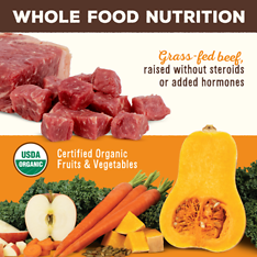 Freeze-Dried Raw Scoopable Pronto Beef Recipe Dog Food 7 oz