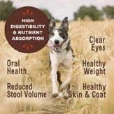 Freeze-Dried Raw Scoopable Pronto Beef Recipe Dog Food 7 oz