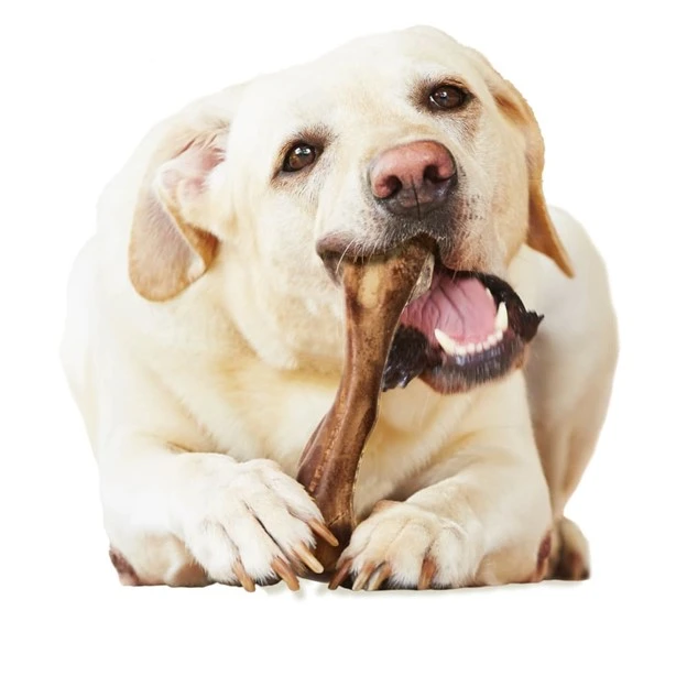 Healthy Edibles WILD All-Natural Long Lasting Chew Treat with Real Venison Large/Giant | Up to 50 lbs