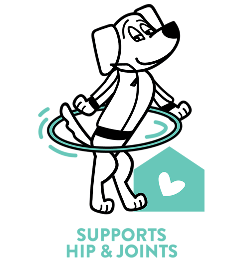 Lobster Roll(Over) with Real Lobster & Kelp Soft Baked Biscuits for Dog's 6 oz