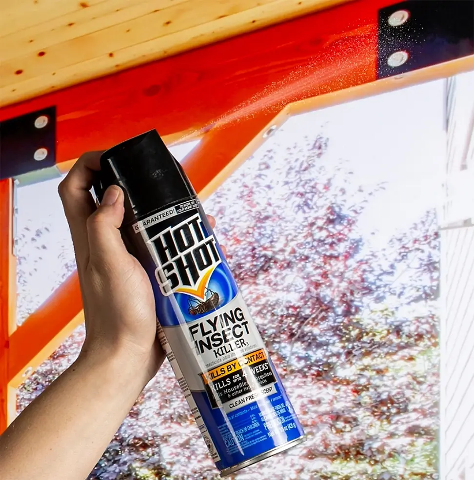 Flying Insect Killer Spray 15 oz