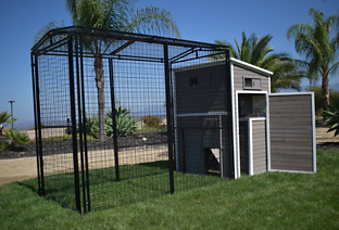 Chalet Chicken Coop 48" x 7' 5" x 6' 5"