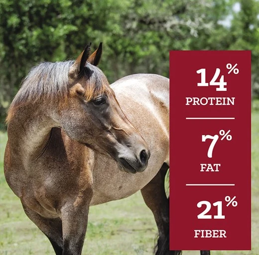 SafeChoice Special Care Pellet Horse Feed 50 lb