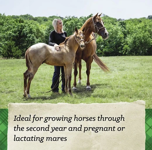 SafeChoice Mare & Foal Pellet Feed 50 lb